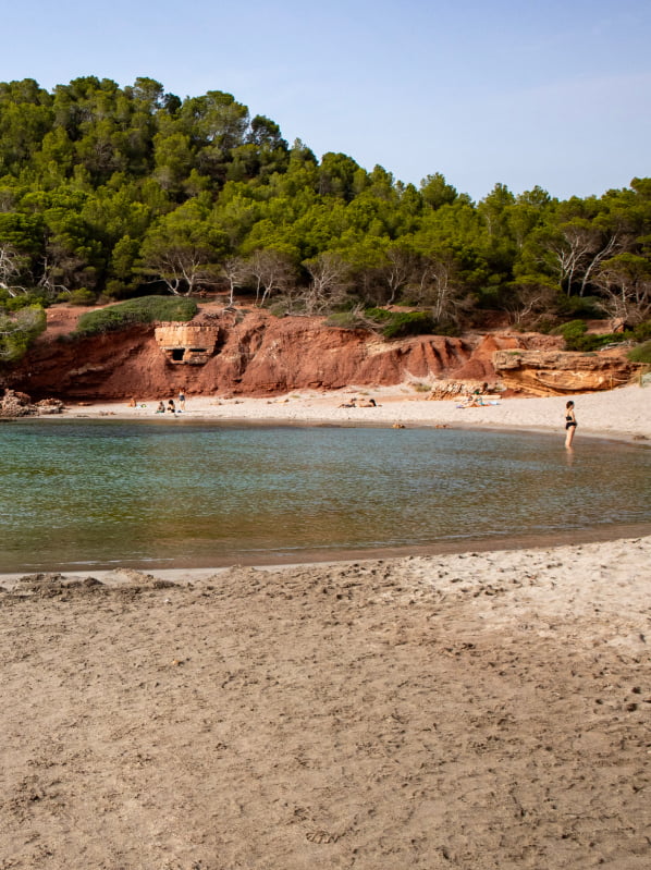 Cala Algairens Menorca Cala Algairens playa familiar con arena dorada y naturaleza